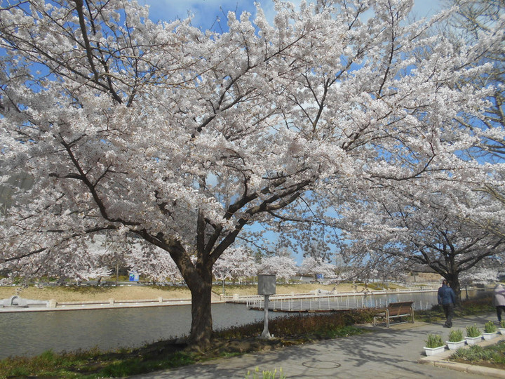 Dscn4607