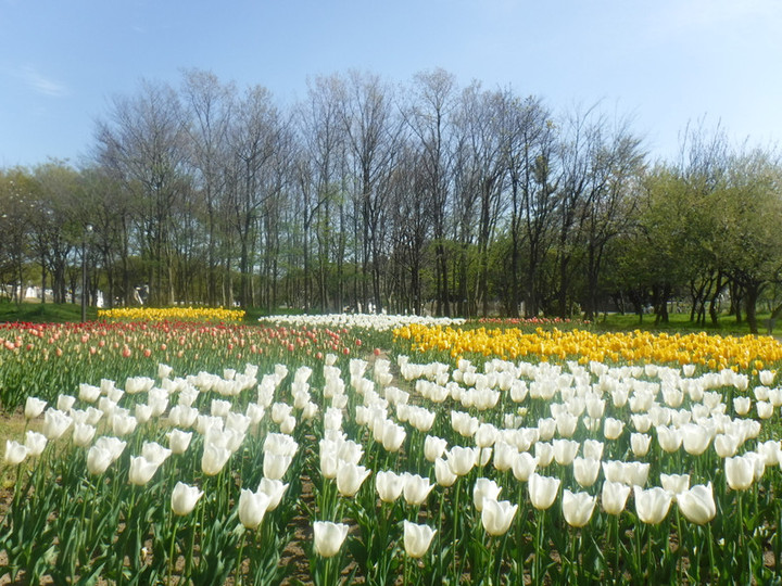 Dscf4296
