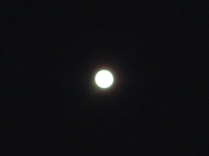 P9140017