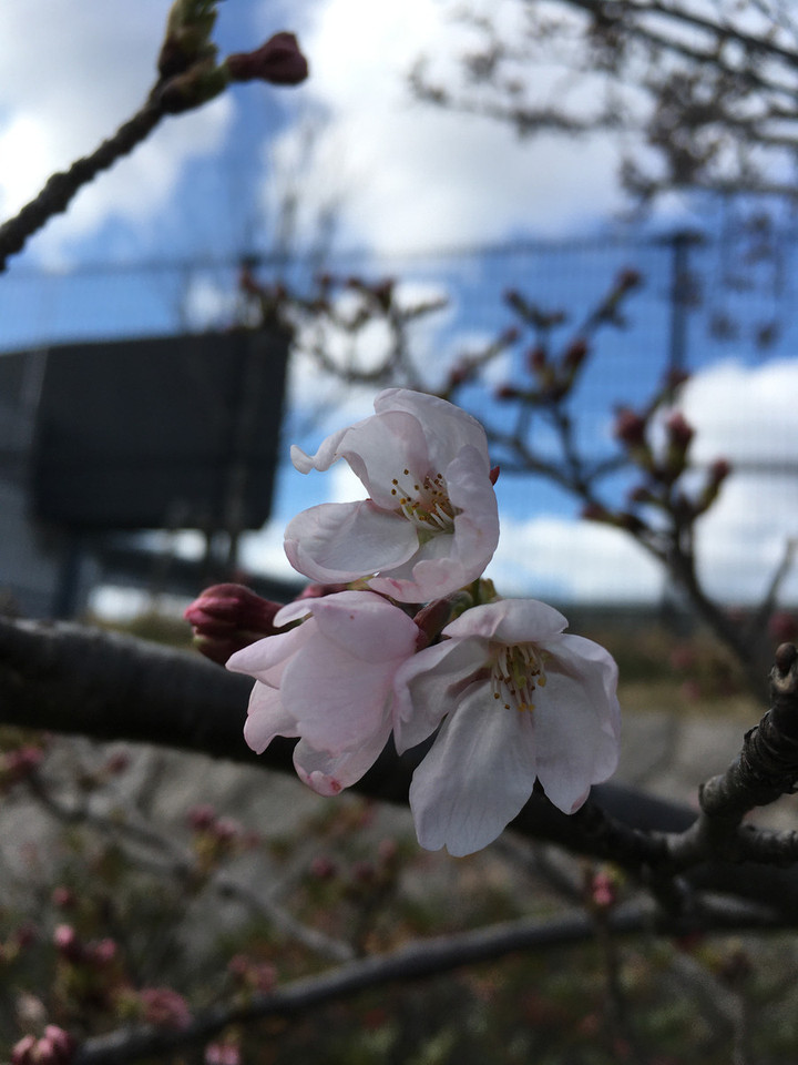 E6dcbde5009f43d7825f35c330fe3415