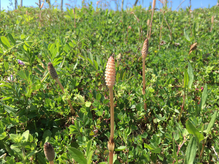 A9aa97a714d4497d9d36c8fcbec0b27b53