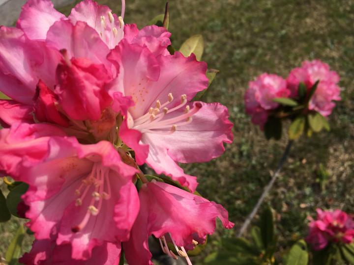 74d815d468724bf19c53379540e5d6d553