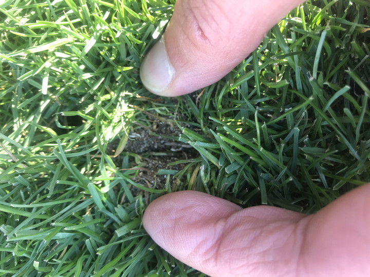 Photo_14