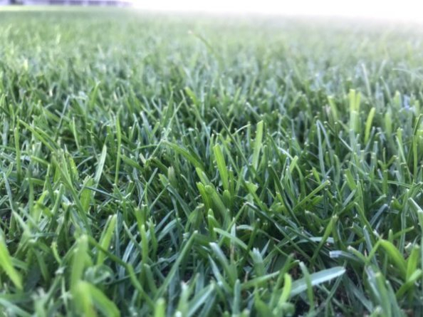 Photo_2