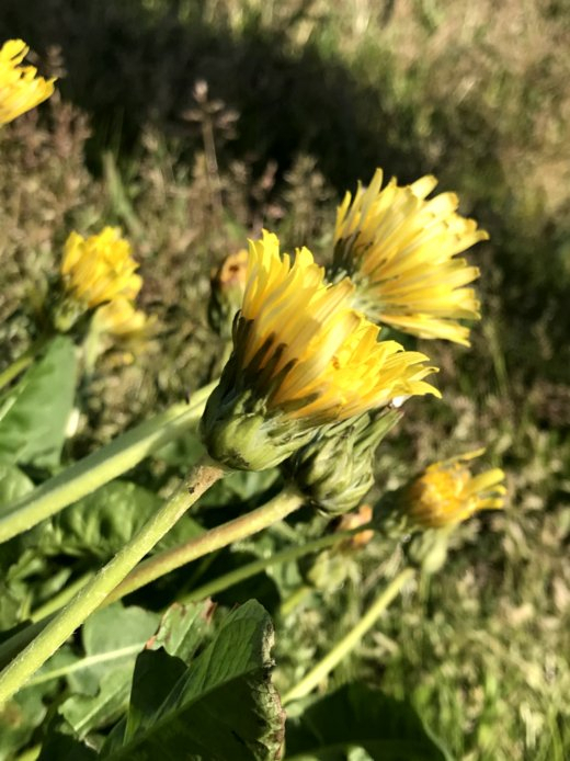 Photo_6