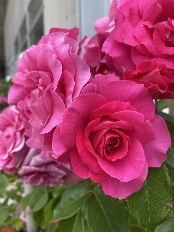 5c67e612a35643dd837076ce22d441e6_2