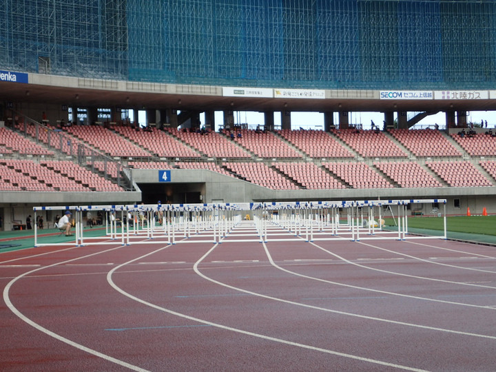 P8010049