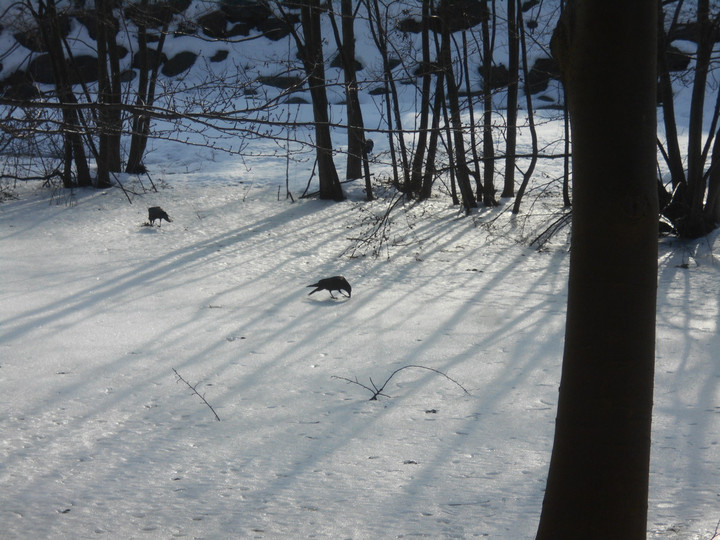 Dscn4474