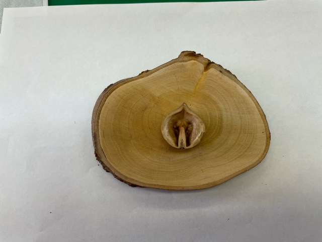 Photo_7