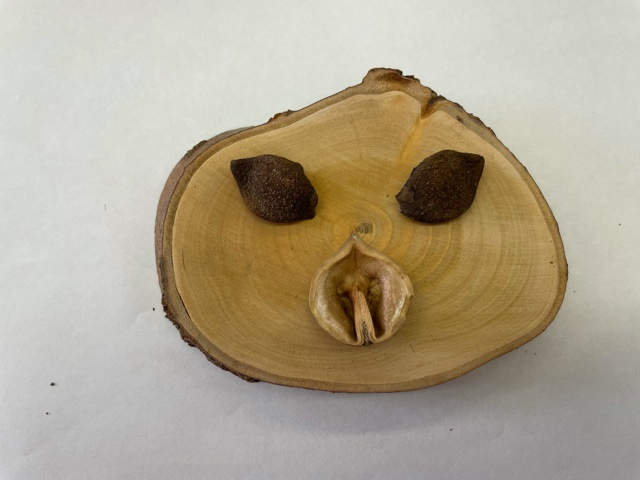 Photo_8