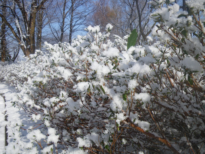 Imgp1120