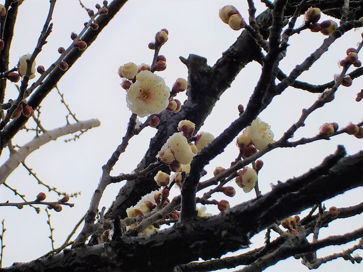 Dscn4669_2