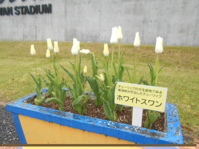 Dscn5153