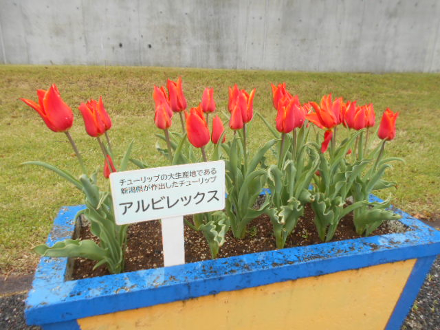Dscn5154