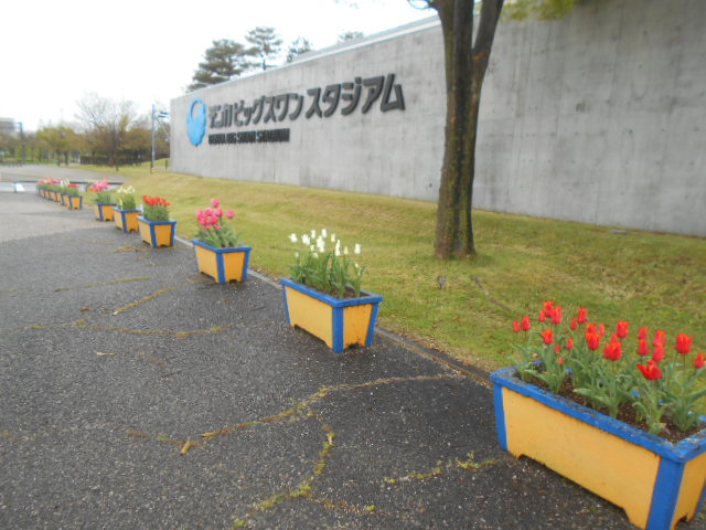 Dscn5158