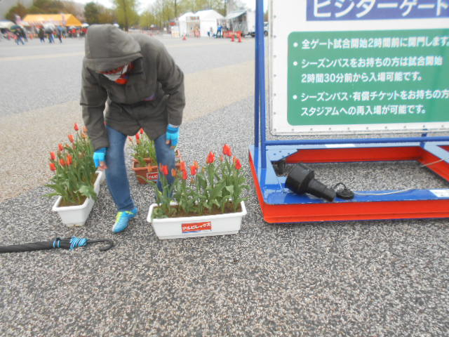 Dscn5161