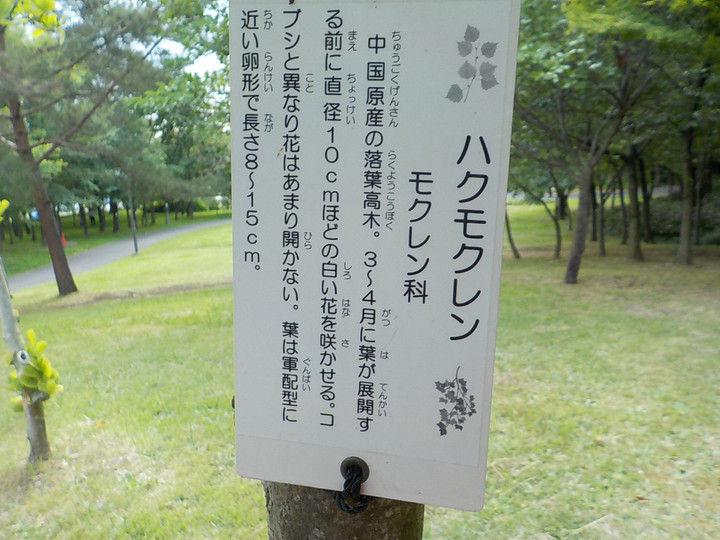Dscn3123