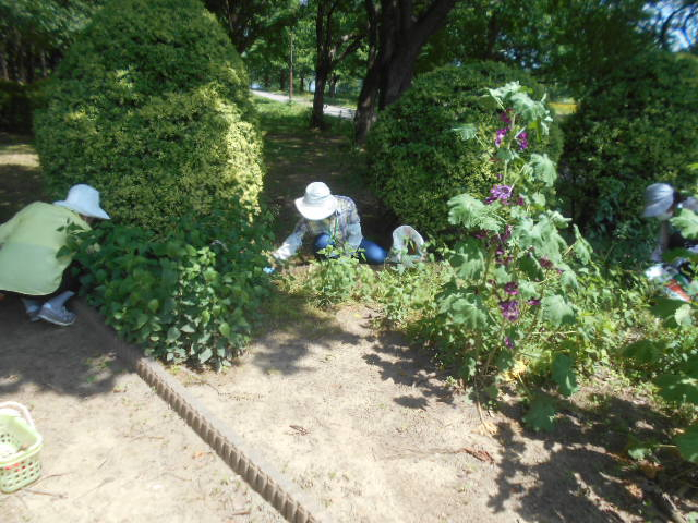 Dscn5821