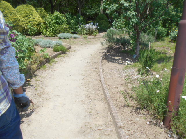 Dscn5822