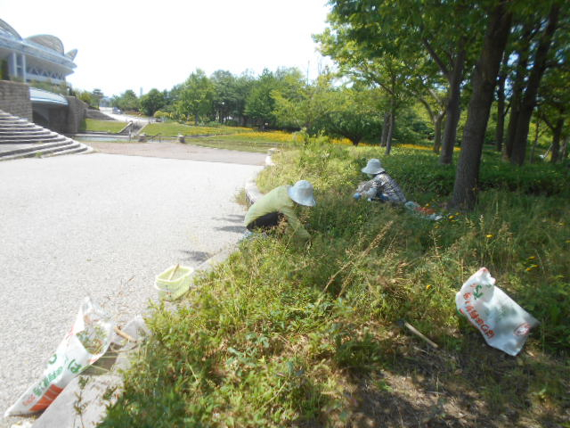 Dscn5824