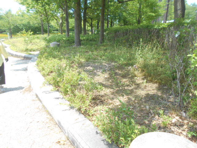 Dscn5826