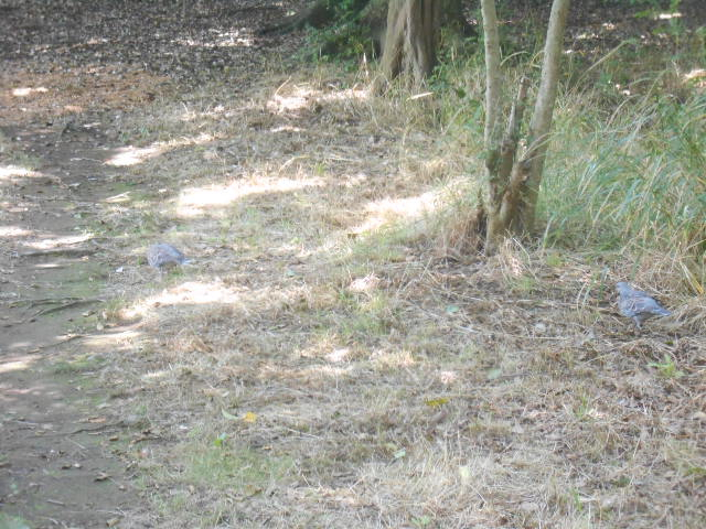 Dscn6073