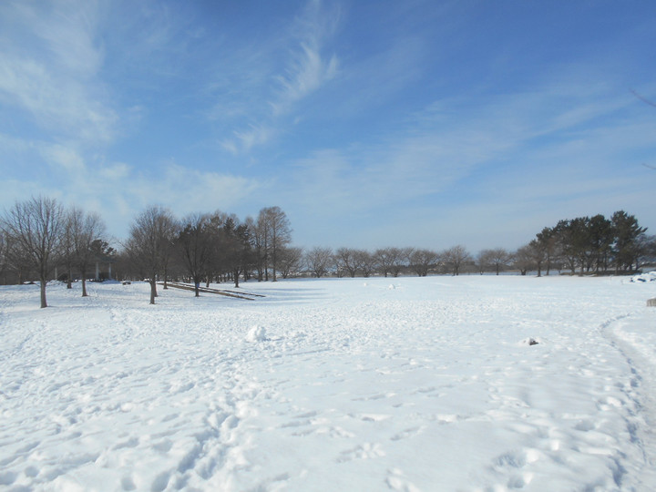 Dscn8047_2