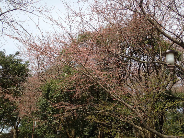 P4060037