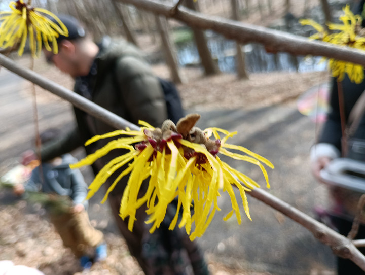 Img_20260221_105350_1