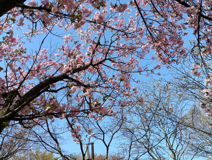 Img_20260411_145145_1