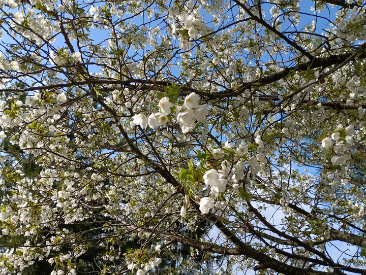 Img_20260411_154604_1