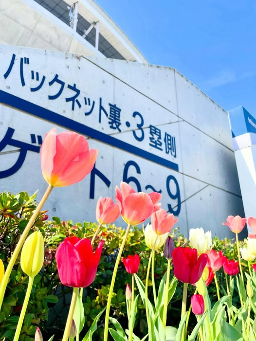 670797903_18172832521405916_4360788