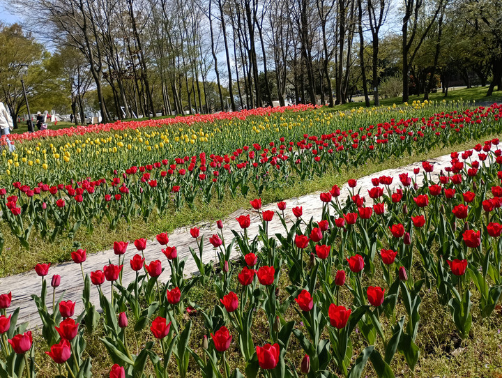 Img_20260411_142101_1