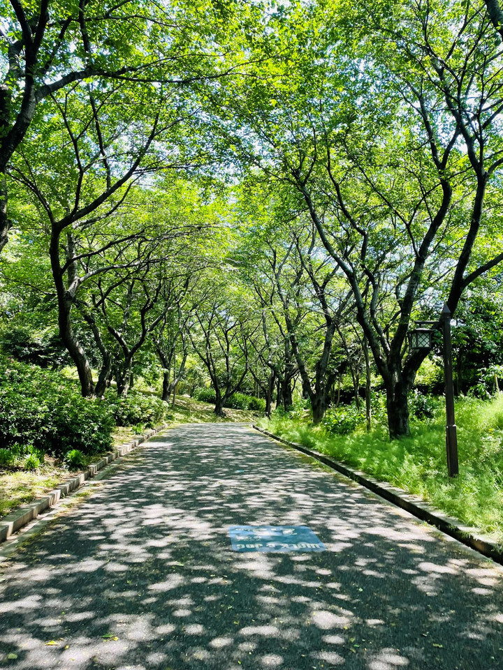 260519_02