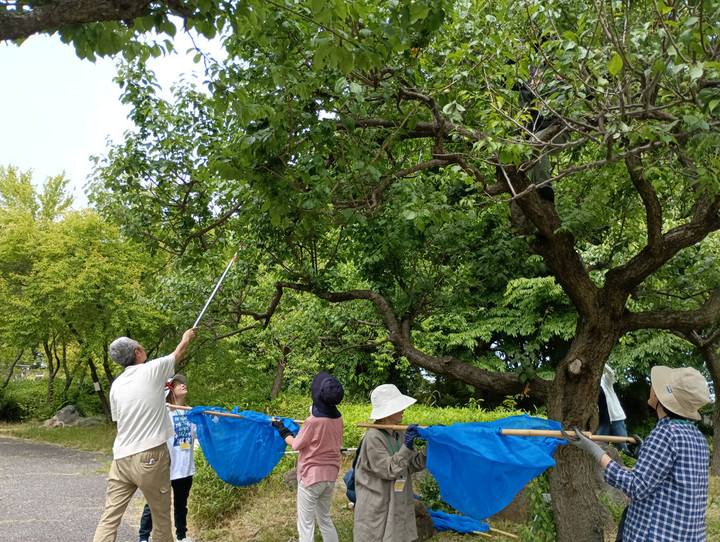 Img_20260528_102010