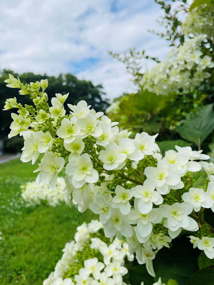 260510_04