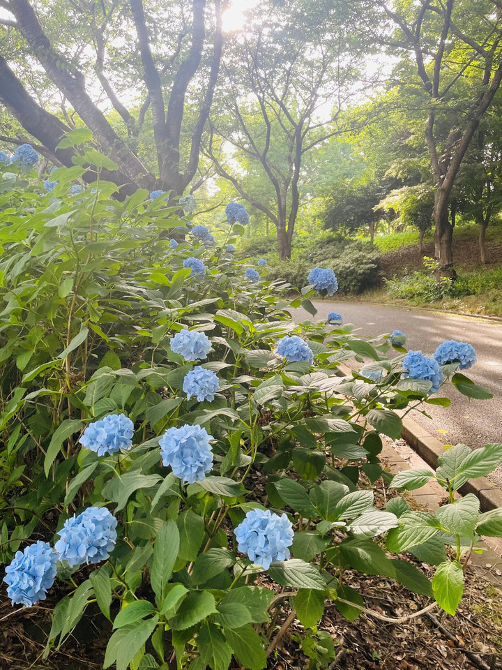 260616in_01