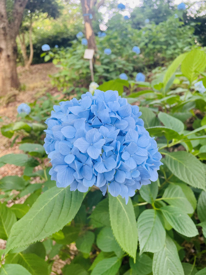 260616in_05