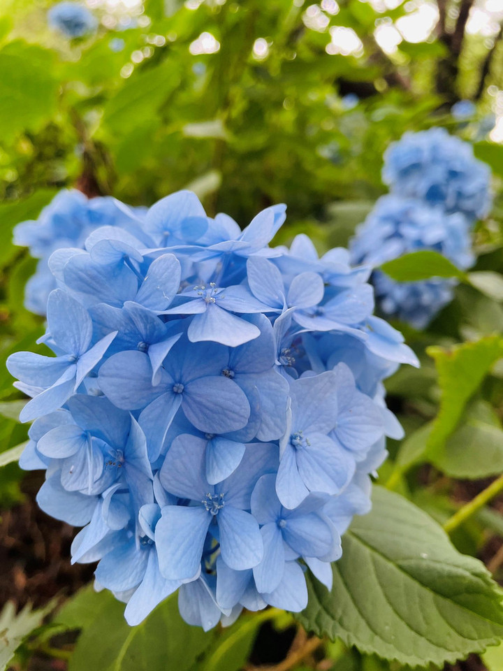 260622in_02