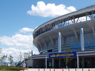 P8246839