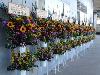 Dsc02979