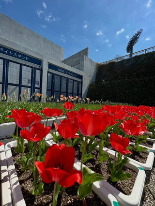 658775745_18171770044405916_7184259