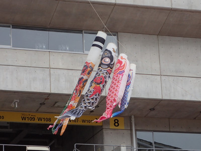 P5060042