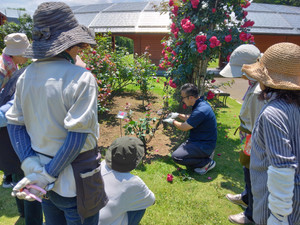 Img_20250617_105346_3