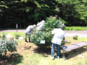 Img_20250617_110859_2