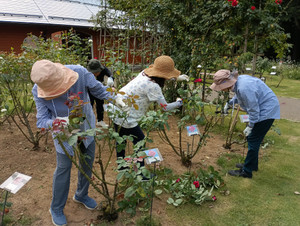 Img_20250819_104136_1_2
