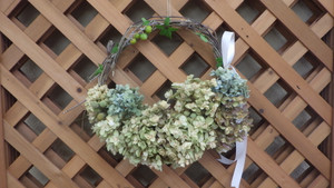 User0016_2 User0016_2