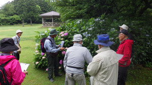 Rimg0381_2