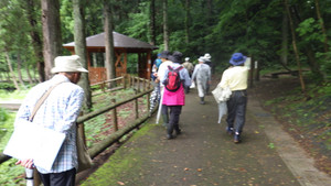 Rimg0387_2