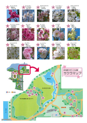 Sakura_map